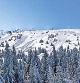Kopaonik – planinarski dom Dr. Petar Kostić (1734mnv)