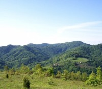 Cer – planinarski dom Lipova Voda (620mnv)