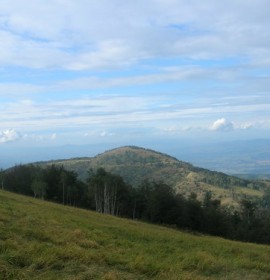 Stolovi kod Kraljeva, Planinarski dom “Gradi” (542mnv)
