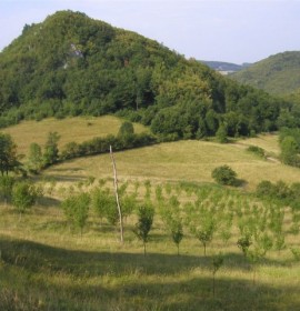 Jablanik – planinarski dom Debelo brdo (1040mnv)