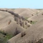 Deliblatska peščara – turističko naselje Čardak