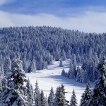 Kopaonik – planinarski dom Kopaonik (1720mnv)