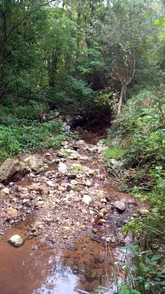 img_20161009_092802_resize